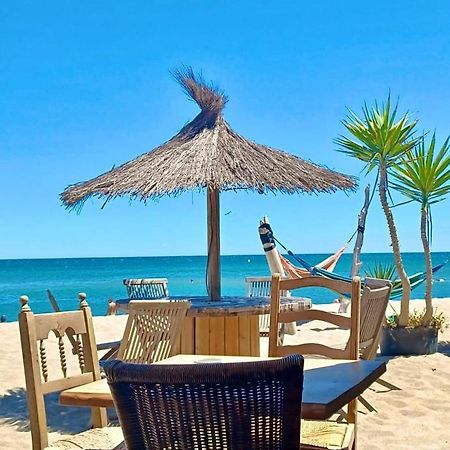T3 Grande Terrasse Bord De Mer Le Barcarès Exterior foto